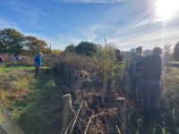 Garten Ausgleich 4